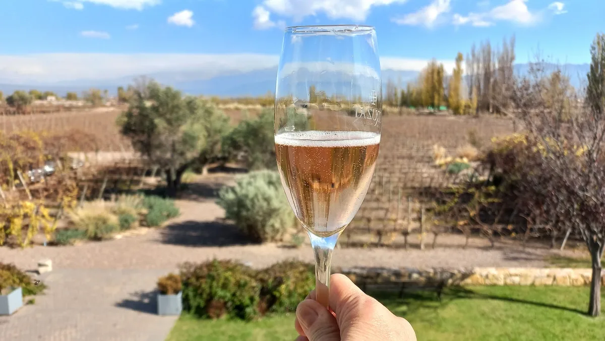 Copa rosé con vista al viñedo