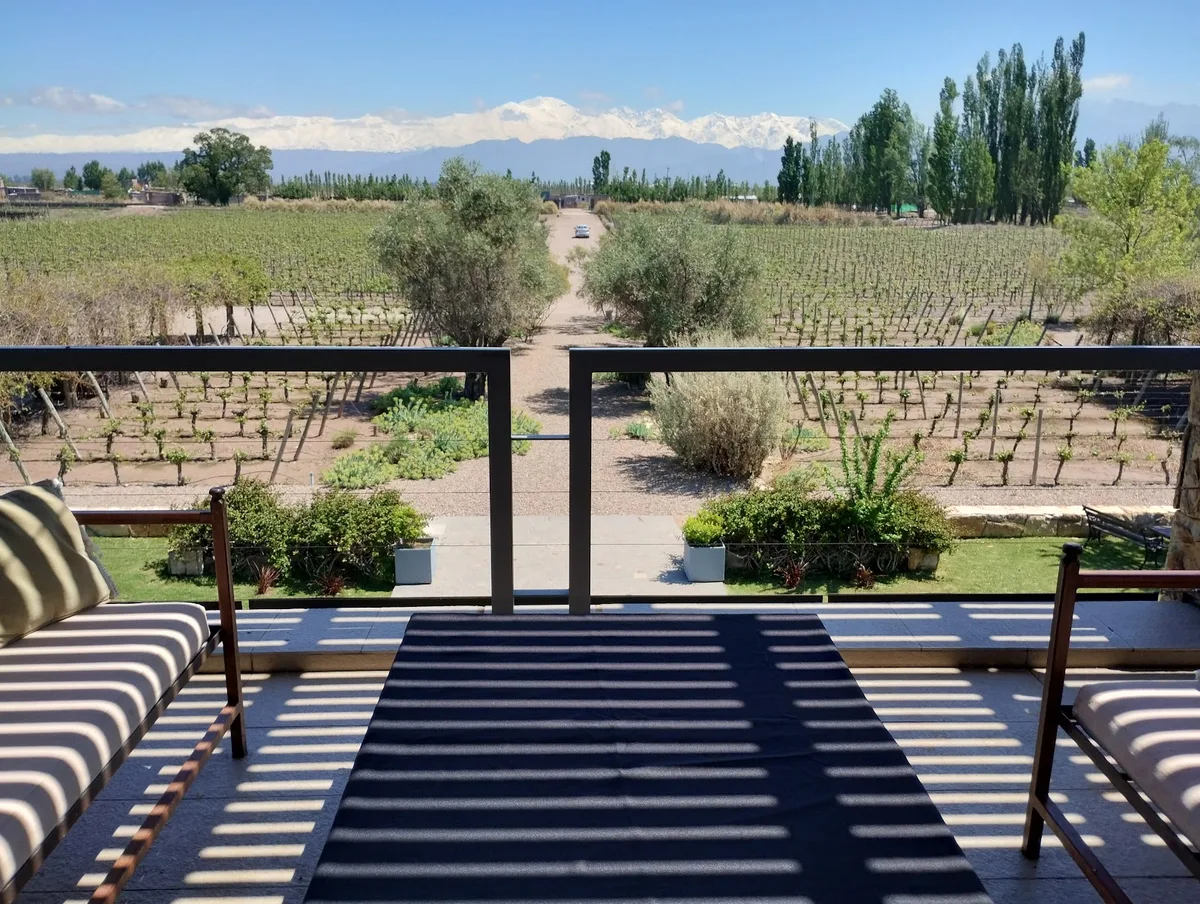 Vista de viñedos desde la terraza